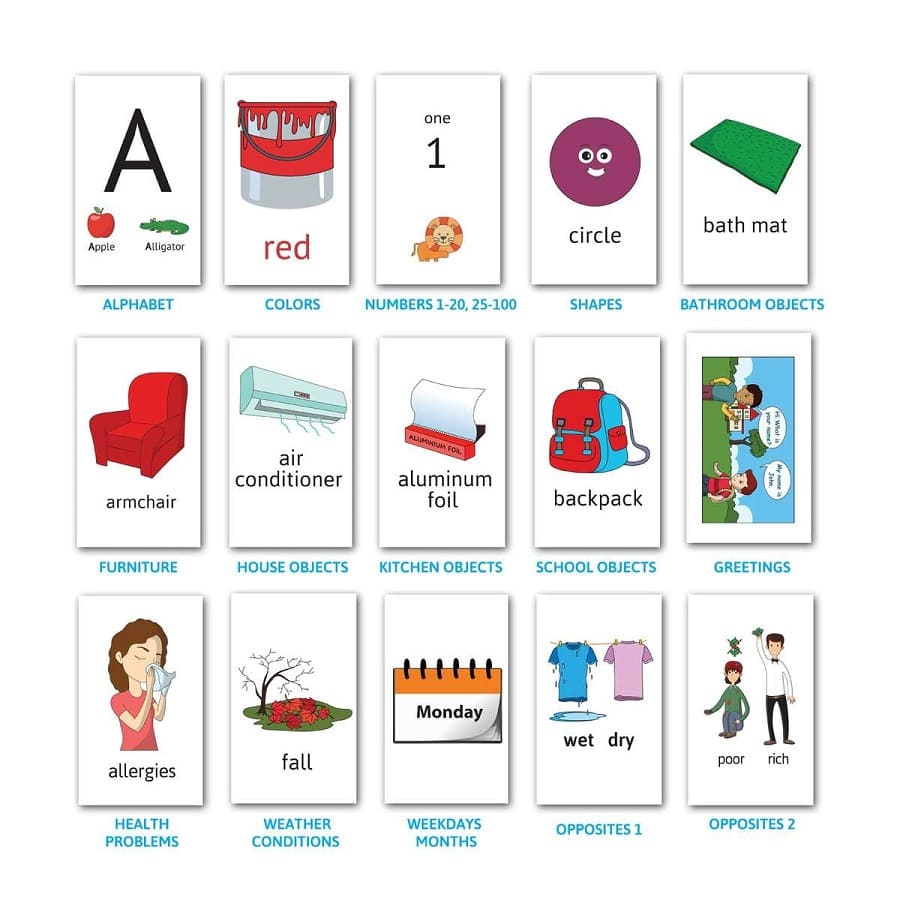 The flashcards